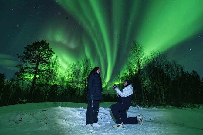 Tromsø: Northern Lights Minibus Tour with Expert Guides - Key points to know before you book