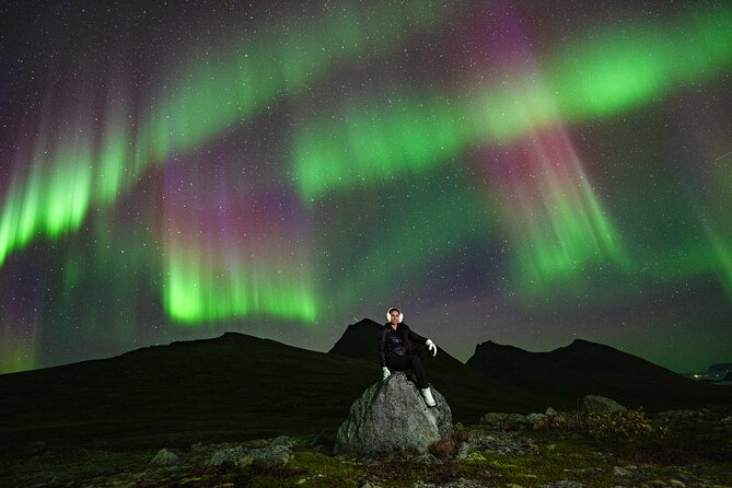 Tromsø: Northern Lights Minibus Tour with Expert Guides - What the Tromsø aurora chase is really like
