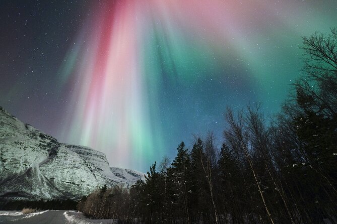 Tromsø: Northern Lights Minibus Tour with Expert Guides - Professional photos solve a tricky problem