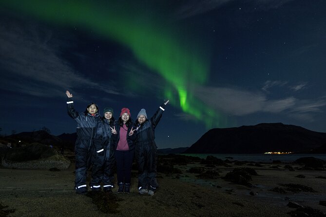 Tromsø: Northern Lights Minibus Tour with Expert Guides - Is $139.98 a fair price?