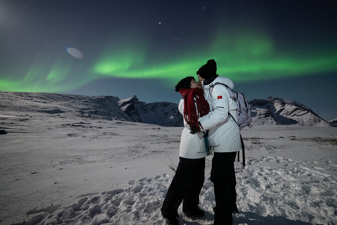 Tromsø: Northern Lights Minibus Tour with Expert Guides - Timing, meeting point, and group size