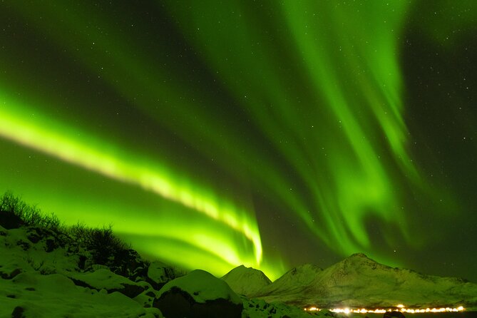Tromsø: Northern Lights Minibus Tour with Expert Guides - Who should book this Tromsø tour?