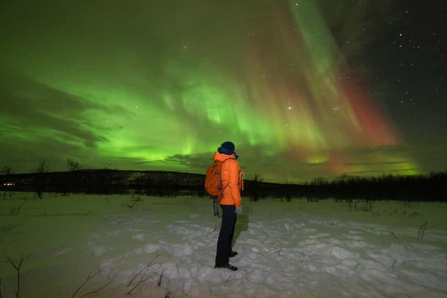 Tromsø: Northern Lights Minibus Tour with Local Experts - Why this Aurora chase works better than waiting in Tromsø