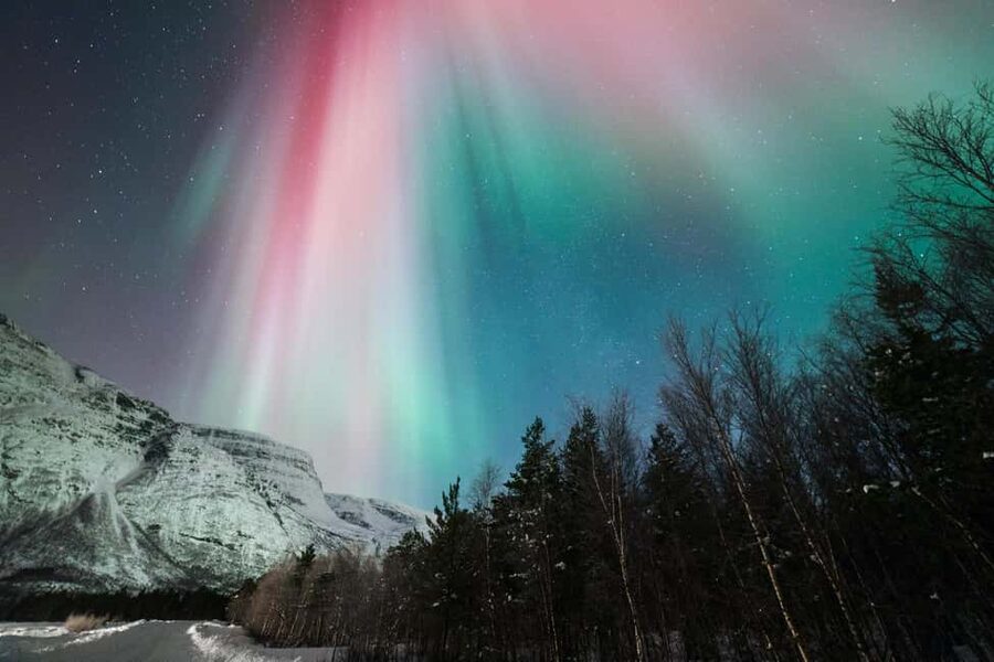 Tromsø: Northern Lights Minibus Tour with Local Experts - Thermal suits help, but your footwear still matters