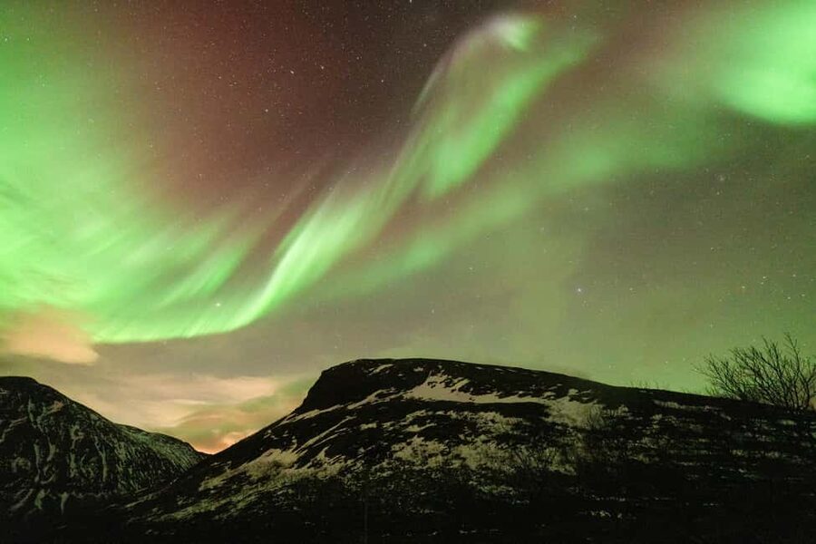 Tromsø: Northern Lights Minibus Tour with Local Experts - Campfire food is a welcome Arctic pause