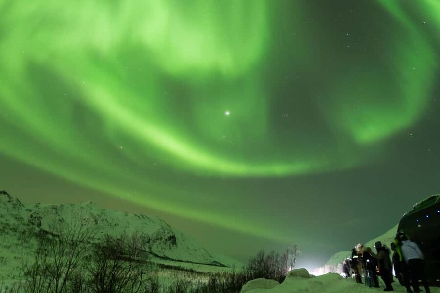 Tromsø: Northern Lights Minibus Tour with Local Experts - Weather, timing, and the limits of the promise