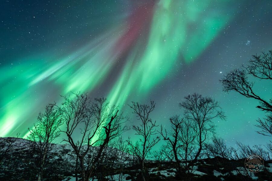 Tromsø: Northern Lights Photography Small-Group Tour - Key points to know before booking