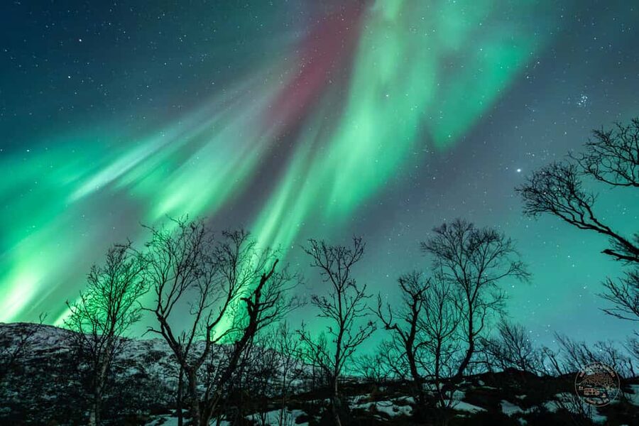 Tromsø: Northern Lights Photography Tour - Photography help for beginners and serious camera users