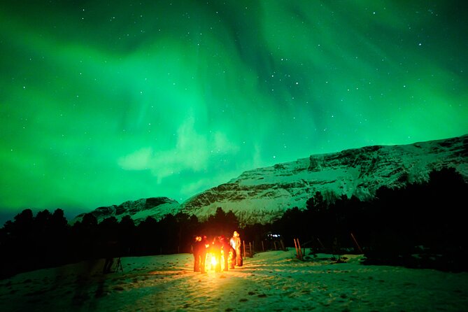 TROMSO | NORTHERN LIGHTS PIONEERS | Photos included - Chasing the aurora from Tromsø
