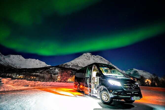 TROMSO | NORTHERN LIGHTS PIONEERS | Photos included - Thermal clothing, hot chocolate, and the cold wait