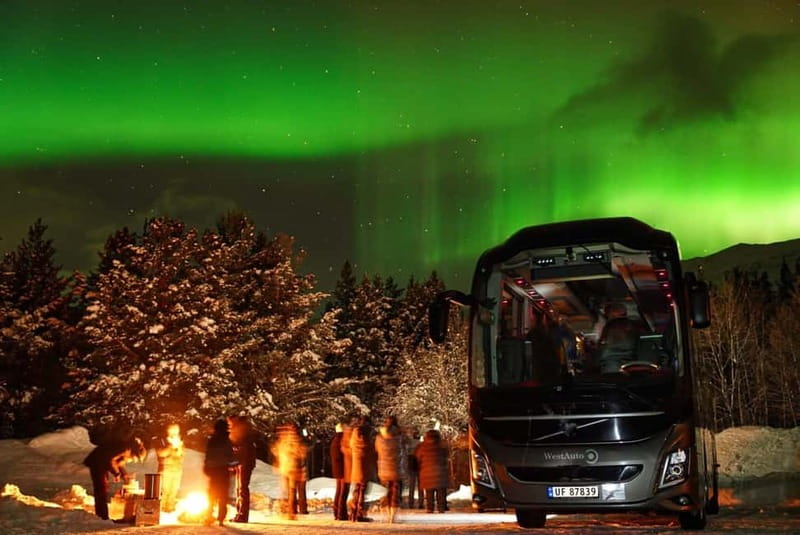 Tromsø: Northern Lights Safari with Expert Guides and Photos - Chasing clear skies toward the fjords