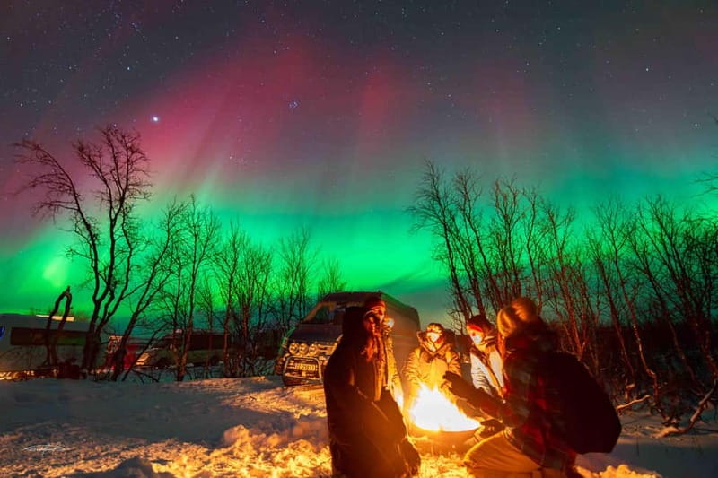 Tromsø: Northern Lights Safari with Expert Guides and Photos - Seeing the Aurora with realistic expectations