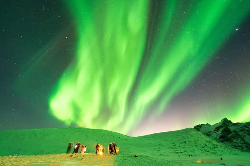Tromsø: Northern Lights Safari with Expert Guides and Photos - Photography that saves you from camera trouble