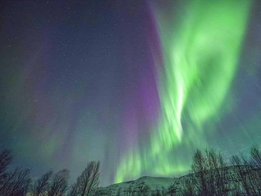 Tromsø: Northern Lights Tour in Glass Minibus with Dinner - What the heated glass-roofed bus changes