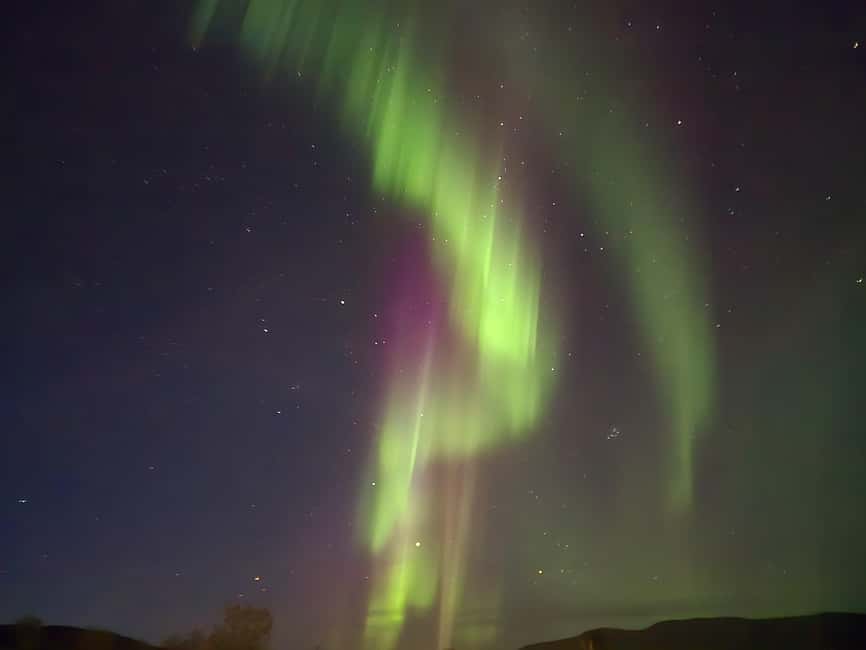 Tromsø: Northern Lights Tour in Glass Minibus with Dinner - Guides who make the long night easier