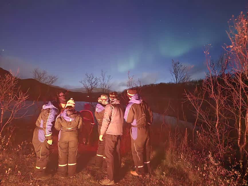 Tromsø: Northern Lights Tour in Glass Minibus with Dinner - The value of $131 per person