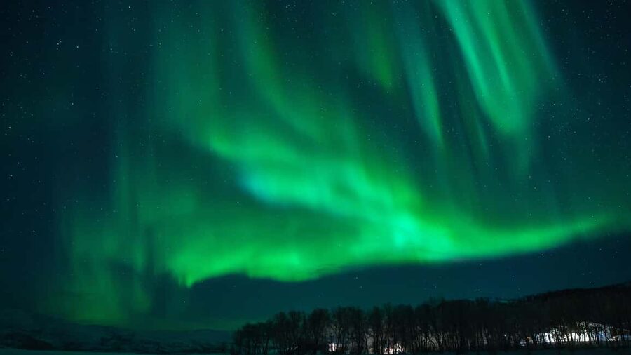 Tromsø: Northern Lights Tour in Glass Minibus with Dinner - Booking details worth knowing