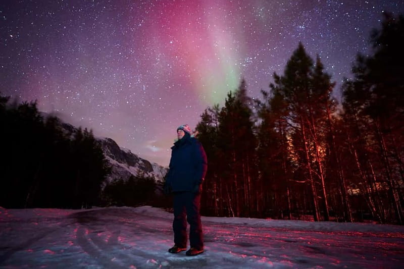 Tromsø: Northern Lights Tour (Max 8) Pickup + Finland - A moving search for clearer skies