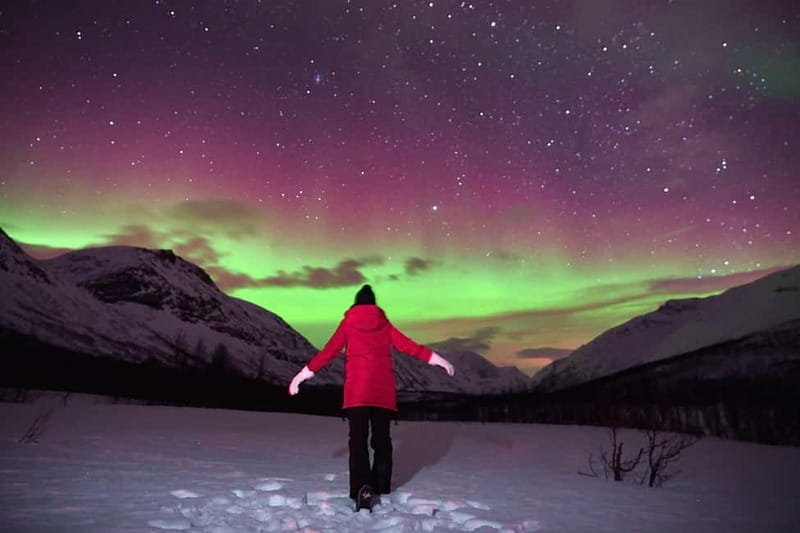 Tromsø: Northern Lights Tour (Max 8) Pickup + Finland - Coastal roads, mountains, and inland valleys
