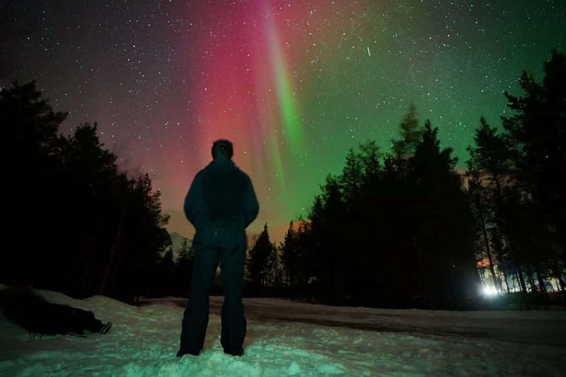 Tromsø: Northern Lights Tour (Max 8) Pickup + Finland - Crossing into Finland when the forecast points east