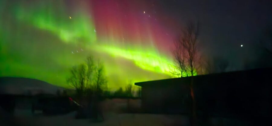 Tromsø: Northern Lights Tour with Campfire - Three hours around the campfire