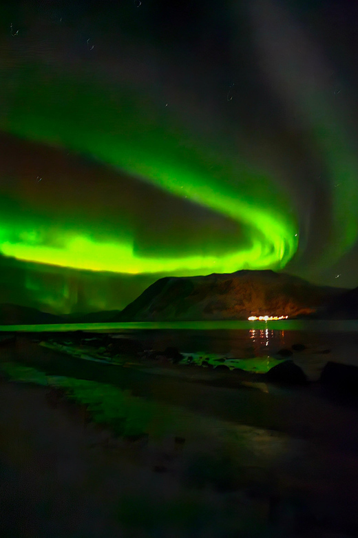 Tromsø: Northern Lights Tour with Campfire - Should you book this Tromsø Northern Lights tour?