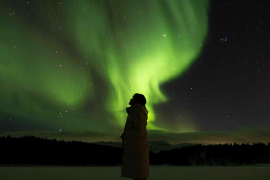 Tromsø: Northern Lights Tour with Dinner and Native Guide - A 45-minute ride into the Arctic night