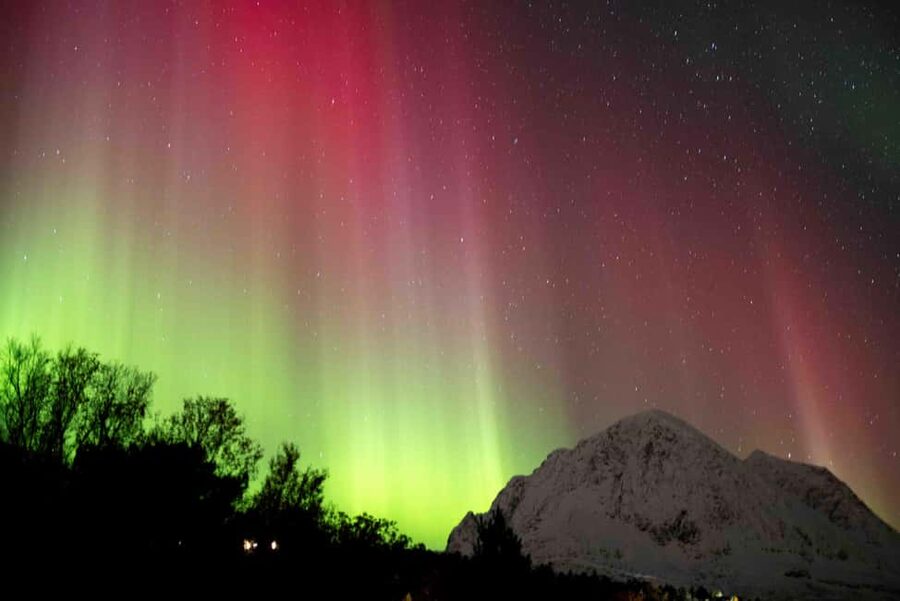 Tromsø: Northern Lights Tour with Dinner and Native Guide - What the $230 price includes