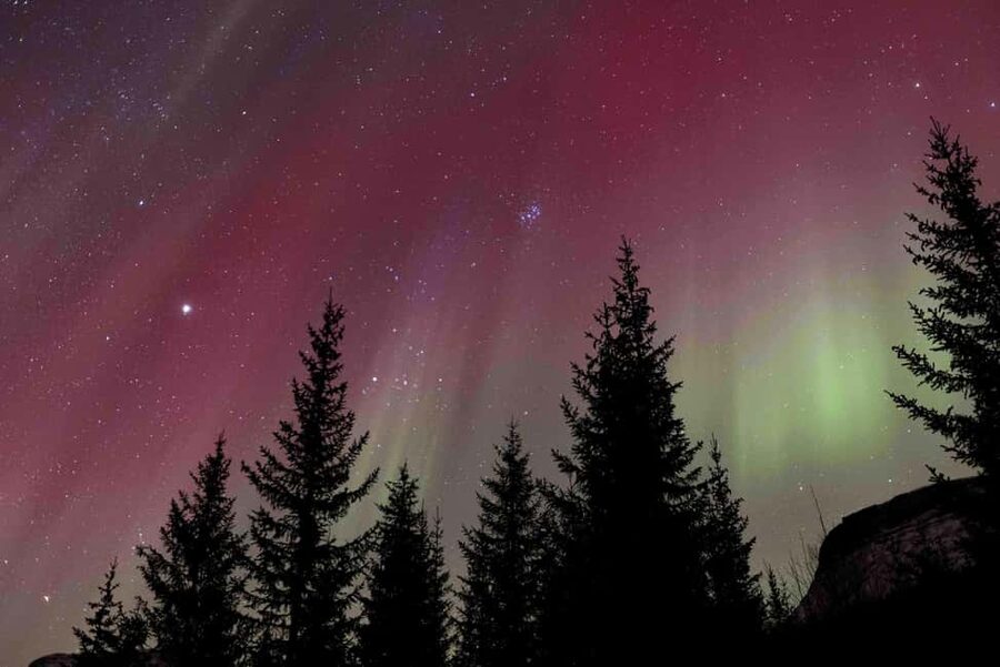 Tromsø: Northern Lights Tour with Dinner and Native Guide - The short walk is part of the reward