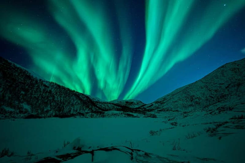 Tromsø: Northern Lights Tour with Hot Drinks and Snacks - Waiting beside the fire