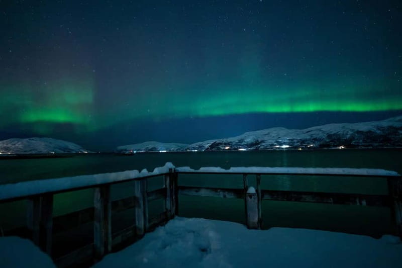 Tromsø: Northern Lights Tour with Hot Drinks and Snacks - Best for patient aurora seekers