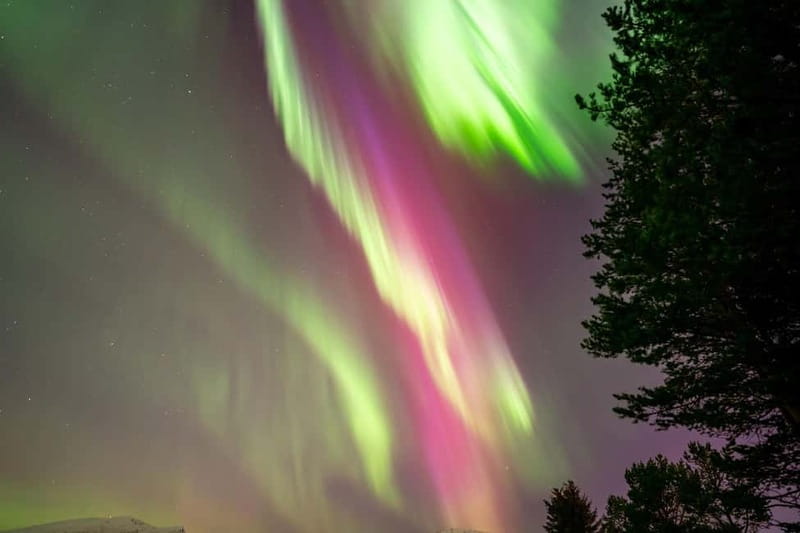 Tromsø: Northern Lights Tour with Hot Drinks and Snacks - A six-hour evening, from cinema to Arctic sky