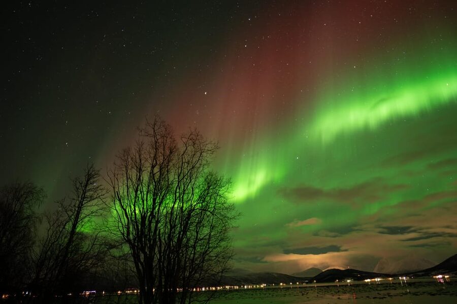 Tromsø: Northern Lights Tour with Local Guide and Photos - Professional portraits are a major part of the value