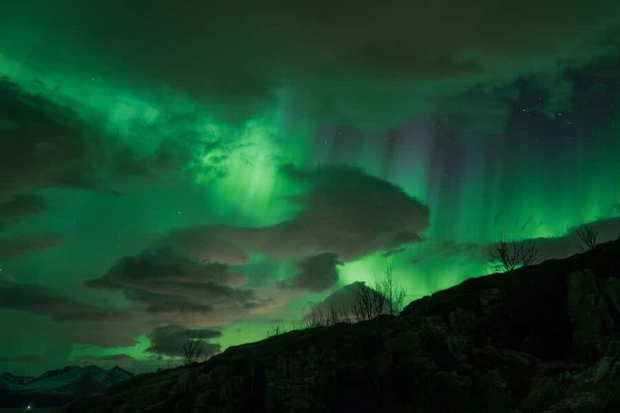 Tromsø: Northern Lights Tour with Local Stories & Photos - Local stories, science, and the guide team