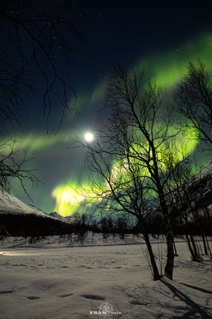 Tromso: Northern Lights Tour with Photographer - What the photography service really includes