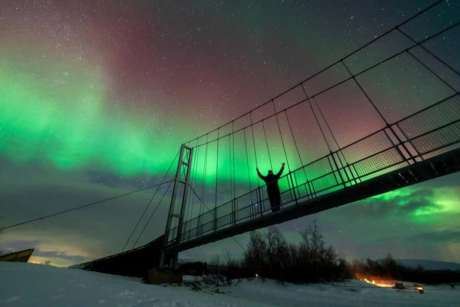 Tromsø: Northern Lights Tour with Photos, Hot Meal & Drinks - Key points to know before you book