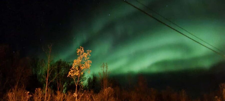 Tromsø: Northern Lights Tour with Photos & Snacks - Meeting Tarik at Grønnegata 94