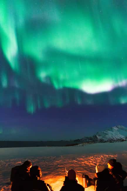 Tromsø: Northern Lights Tour with Sámi & local guides - The limits you should understand before booking