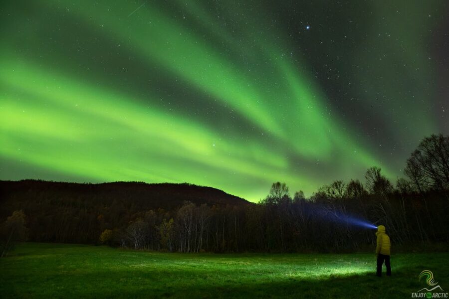 Tromsø: Northern Lights Trip with Campfire and Snacks - Campfire, cake, and a proper break from the cold
