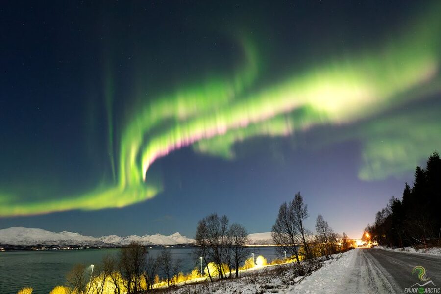 Tromsø: Northern Lights Trip with Campfire and Snacks - Why the guides make the difference