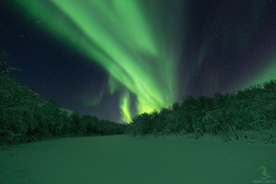 Tromsø: Northern Lights Trip with Campfire and Snacks - What $150 buys you