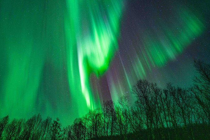 Tromsø Northern Lights with Campfire and Professional Photos - Who should book this experience?