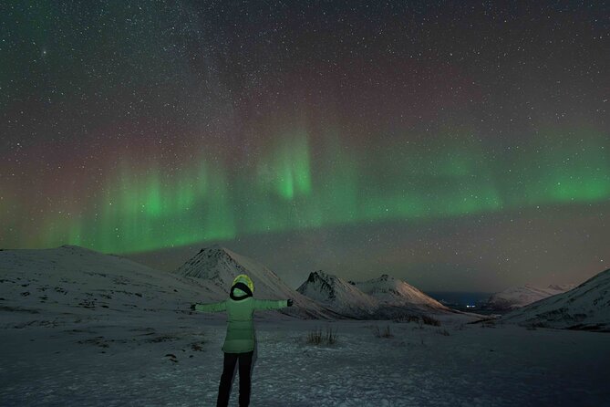 Tromsø Northern Lights with Campfire and Professional Photos - Weather, cancellations, and sensible planning