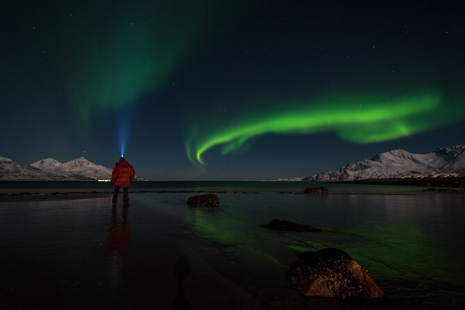 Tromsø Norway - Small Group Aurora Hunt Tour with a local guide - Along the coast, where the sea stays open
