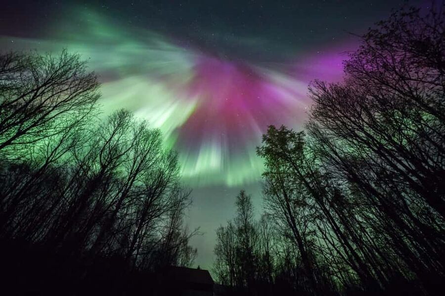 Tromsø: Premium Northern Lights Chase with Free Photos - Is $122 a fair price?