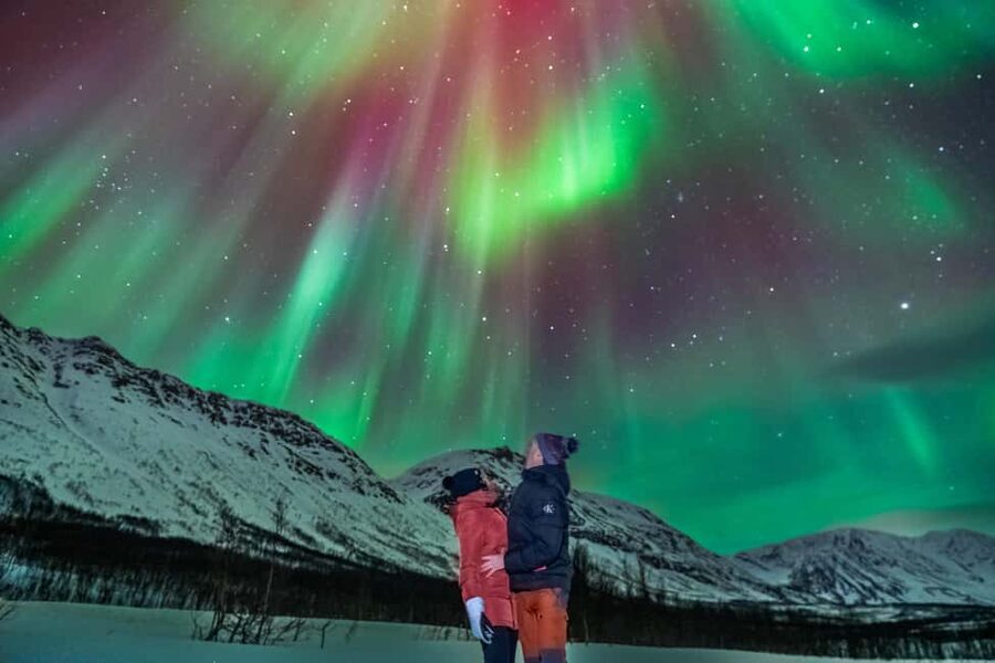 Tromsø: Premium Northern Lights Tour Small Group 8 Guests - Campfire time in the Arctic cold