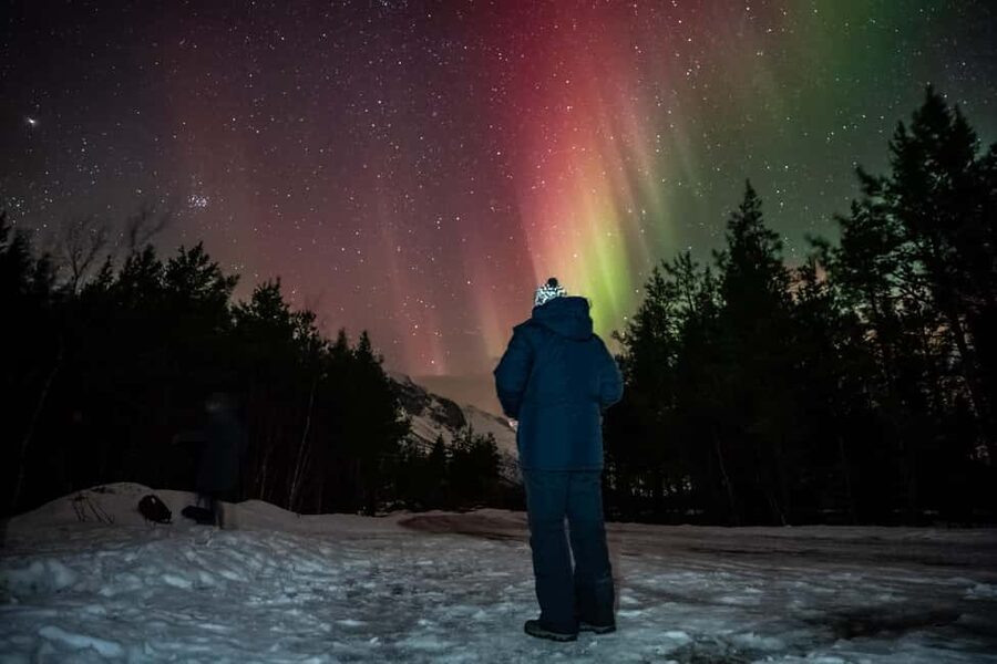 Tromsø: Premium Northern Lights Tour Small Group 8 Guests - What the seven-hour route feels like