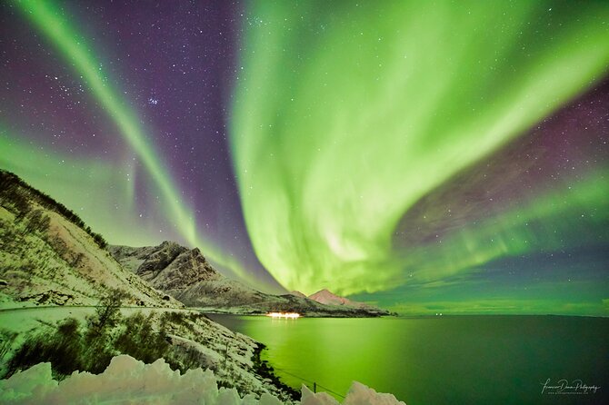 Tromso: Private Aurora Chase by Minivan - Coffee, muffins, and the waiting game