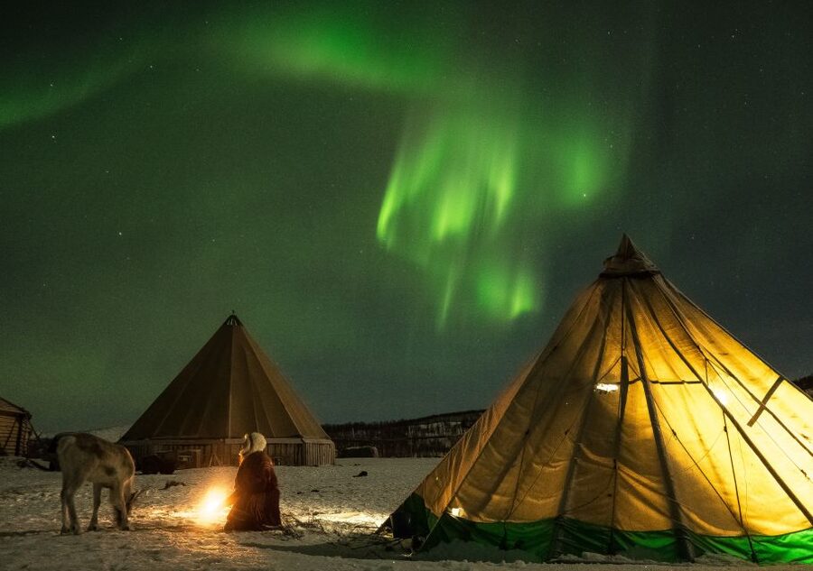 Tromsø: Reindeer Camp Dinner with Chance of Northern Lights - Key points to know before you book