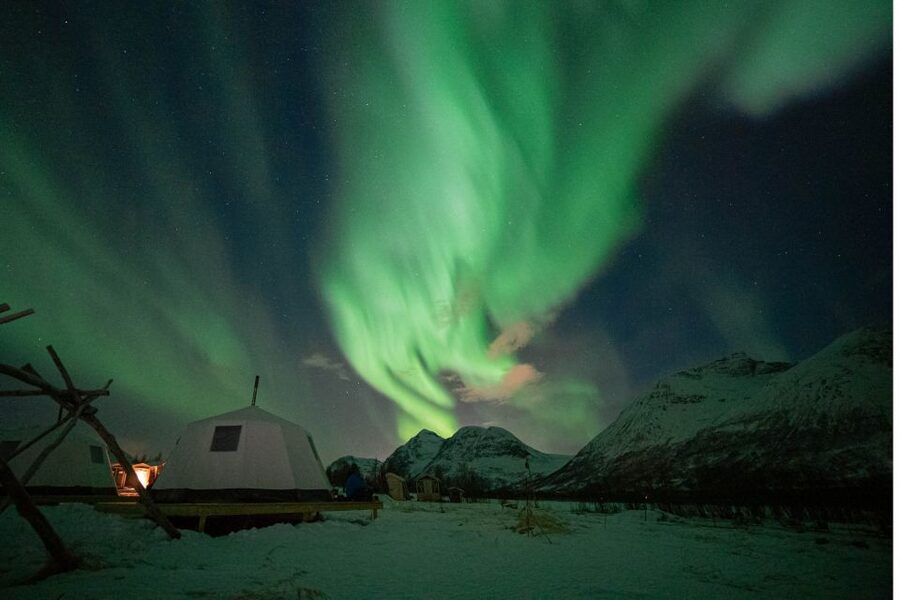 Tromsø: Reindeer Feeding & Chance of Northern Lights Viewing - Sámi culture beyond the postcard